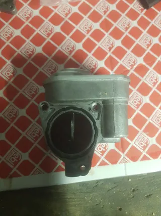 Cuerpo de mariposa 2.0 TDI