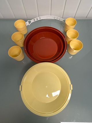 Conjunto Piquenique Vintage Plástico