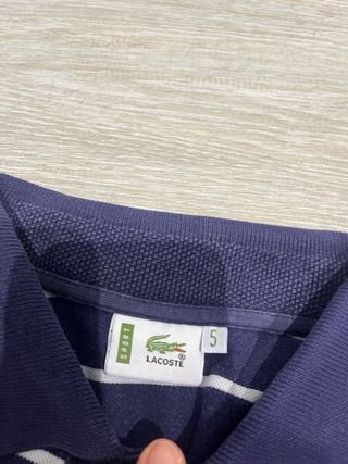 Polo Lacoste Rayas Azul Marino