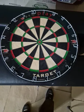 Diana de dardos Target