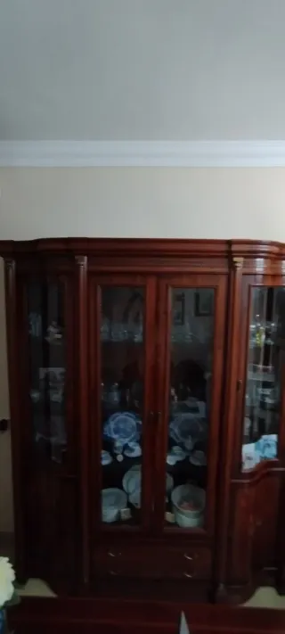 Vitrina de madera y cristal