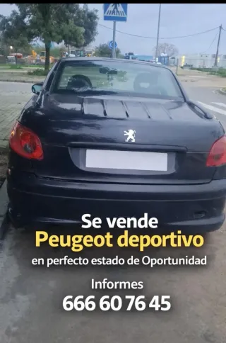 Peugeot 206 2006