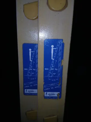 Escalera de mano extensible