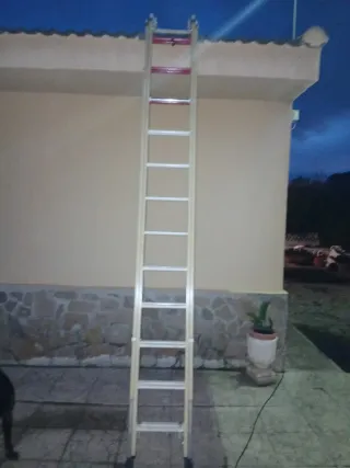 Escalera de mano extensible