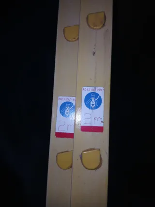 Escalera de mano extensible