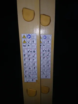 Escalera de mano extensible