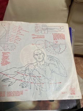 Vinilo Lene Lovich Flex