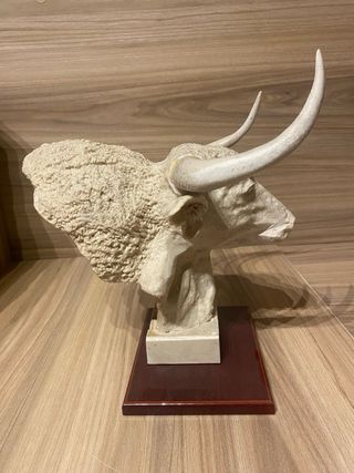 Trofeo Cabeza de Toro,muy poco vista NO ENVIOS