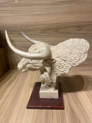 Trofeo Cabeza de Toro,muy poco vista NO ENVIOS
