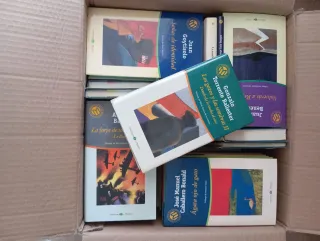 100 libros colección
