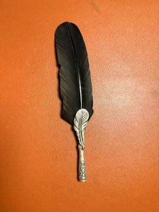 Piuma per scrittura con impugnatura decorata