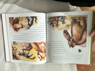 Explica'm un conte de la Selva