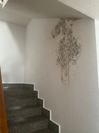 Se realiza todo tipo de reforma de pintura