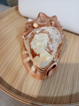 Conchiglia decorata con cammeo