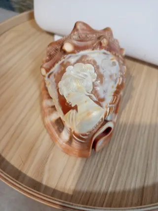 Conchiglia decorata con cammeo