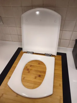 Tapa inodoro Roca Hall Amortiguada