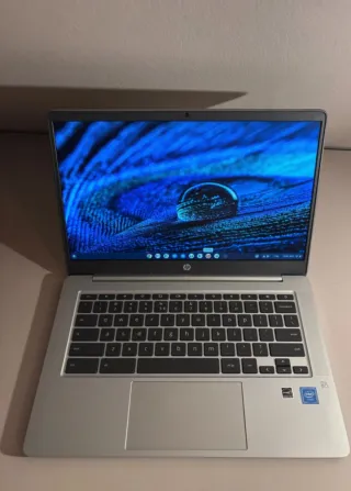 Portátil HP Chromebook Plata