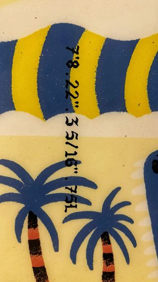 Tablas de surf y snowboard