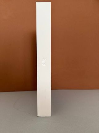 Apple iPad 256GB Sellado