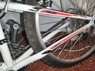 Bicicleta junior 24 Freerider