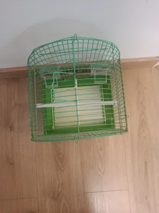 Pajarera verde pequeña