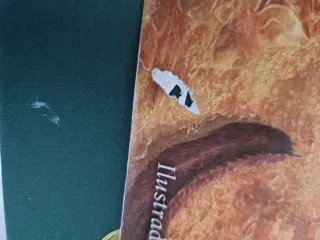 El Señor de los Anillos (NE revisada). Ilustrad...