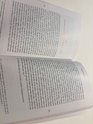 Tirant Lo Blanc. Episodis Amorosos