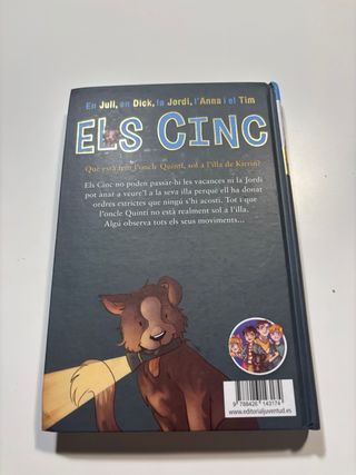 Els Cinc altra vegada a l'illa de Kirrin