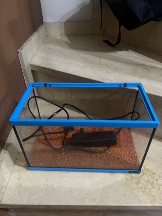 Pecera con filtro azul