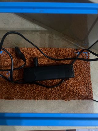 Pecera con filtro azul