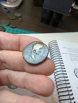 Semis Cartago Nova Octavio 27aC-14dC