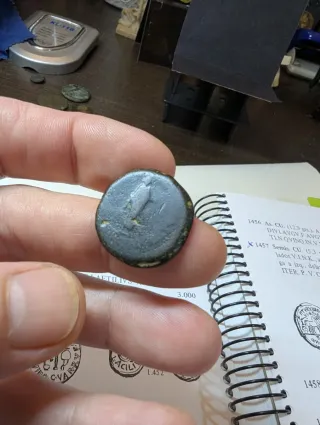 Semis Cartago Nova Octavio 27aC-14dC