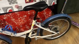 Bicicleta infantil DEN 20 con cesta