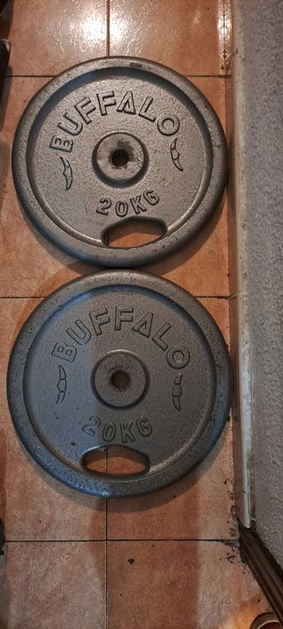 PESAS 2 DISCOS SALTER DE 20KG CON ASAS DE 30MM