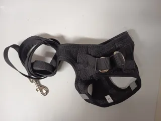 Arnés para perros y gatos negro