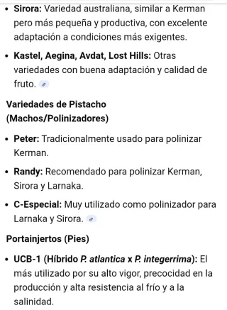 ▪Fincas de Pistachos en CLM