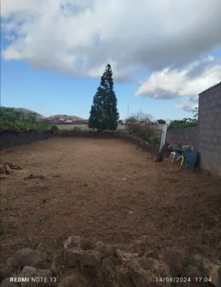 Servicio de jardinería profesional