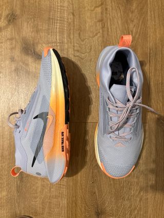 Zapatillas Nike Pegasus Trail 5 Gore-Tex