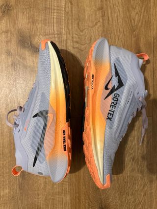 Zapatillas Nike Pegasus Trail 5 Gore-Tex