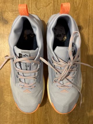 Zapatillas Nike Pegasus Trail 5 Gore-Tex