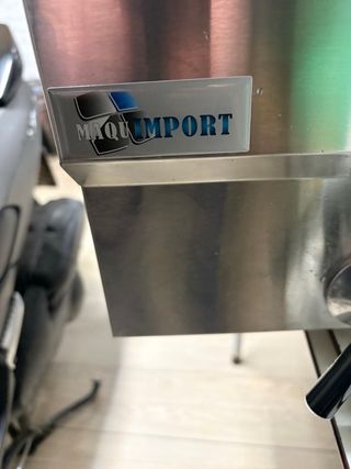 Freidora industrial doble