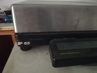 Báscula de Precisión Sartorius