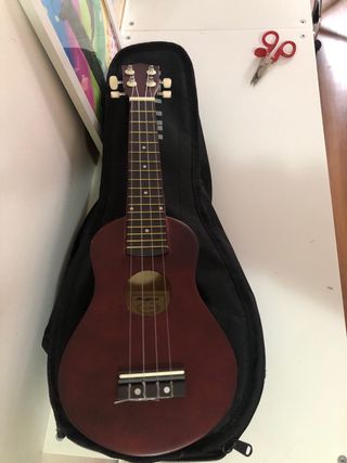 Ukelele y Funda Ritter Negra
