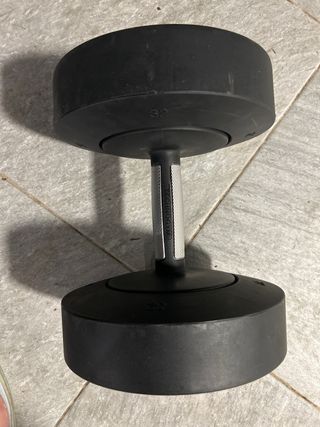 Mancuerna Technogym 32kg