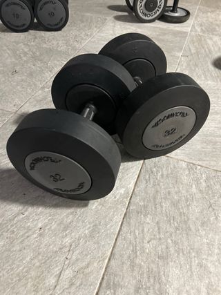 Mancuerna Technogym 32kg