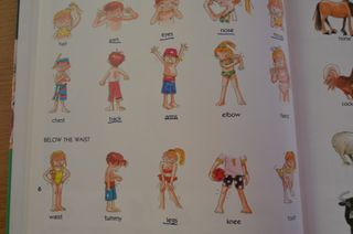 Words & Pictures Inglés