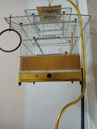Jaula dorada para pájaros estilo pagoda