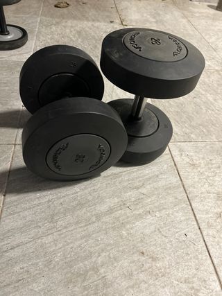 Mancuerna Technogym 28kg