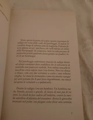 IL bambino nella valigia