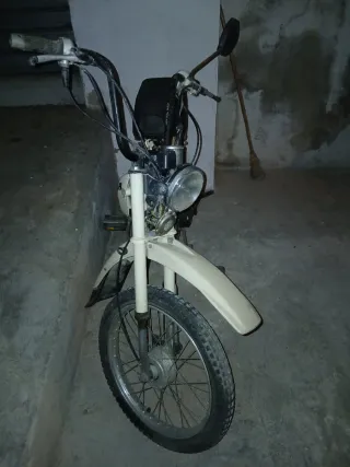 Honda PX 50 Moped